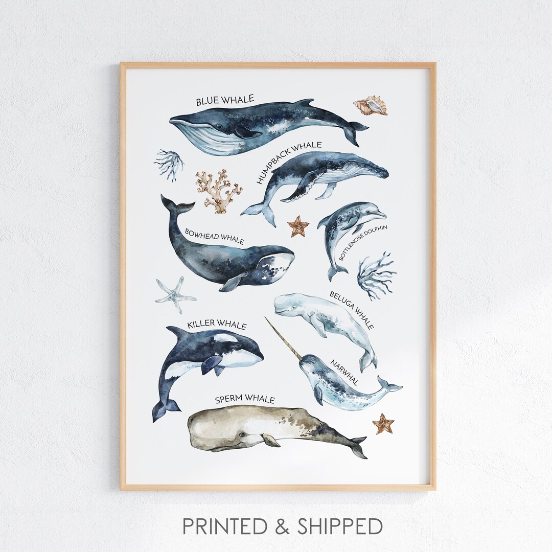 Whale Print Watercolor Ocean Animal Wall Art Marine Life Poster ...