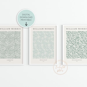 William Morris Prints Set of 3 Printables, Sage Green William Morris Posters, Vintage Floral Wall Art, Flower Print Set, Exhibition Posters