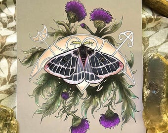 Pictish Thistle Moth Print