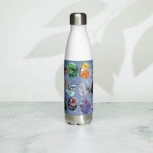 Stainless Steel Water Bottle - Zodiac Betta Group