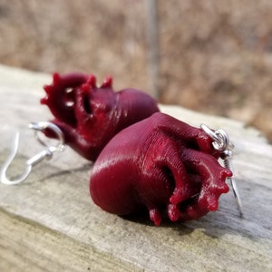 Anatomical Human Heart 2 INCHES Oversized Earrings  Macabre Doctor Medical Science Anatomy unisex Lightweight Free Shipping MTcoffinz