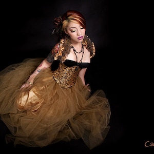 SteamPunk Antique Gold Floor Length Tulle Skirt Adult All Sizes MTcoffinz