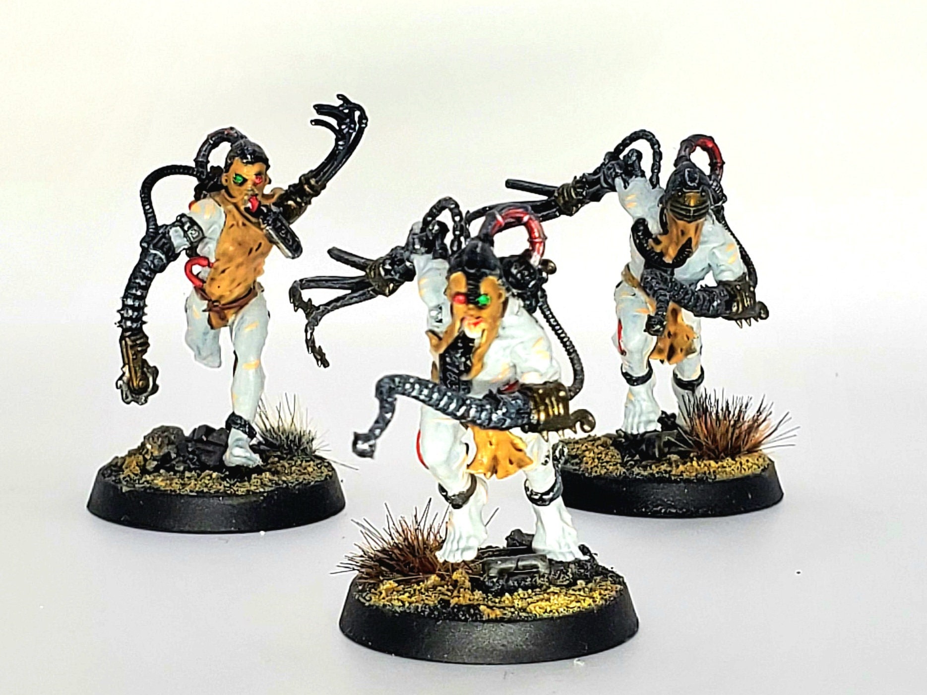 アルコ鞭毛虫 アデプタ ソロリタス 40k - Etsy 日本