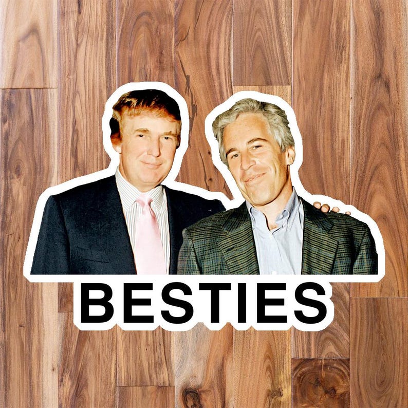 Pack of Stickers: Donald Trump with Jeffrey Epstein Never Forget, Google Doe 174, Besties. Release the Files! Conspiracy Vinyl Sticker Decal Bild 3