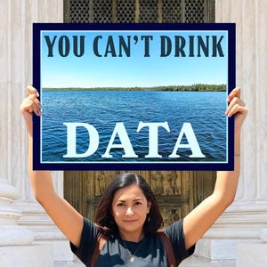 Pode incluir: Uma pessoa segurando uma placa com o texto "YOU CAN'T DRINK DATA" sobre uma vista panorâmica do lago. A placa tem uma borda azul e texto branco. A pessoa está vestindo uma camiseta preta.