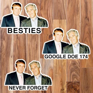 Pack of Stickers: Donald Trump with Jeffrey Epstein Never Forget, Google Doe 174, Besties. Release the Files! Conspiracy Vinyl Sticker Decal
