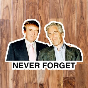 Pack of Stickers: Donald Trump with Jeffrey Epstein Never Forget, Google Doe 174, Besties. Release the Files! Conspiracy Vinyl Sticker Decal Bild 4