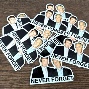 Pack of Stickers: Donald Trump with Jeffrey Epstein Never Forget, Google Doe 174, Besties. Release the Files! Conspiracy Vinyl Sticker Decal Bild 5
