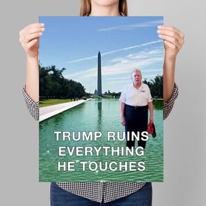 Trump ruiniert alles – Schild zum Ausdrucken für Zuhause, digitaler Download (JPG) – Grüne Algen im reflektierenden Teich