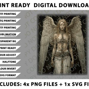 Beautiful Angel Goth Aesthetic Heavenly Angelic Girl Women Premium Png Bundle, SVG Files, Digital Downloads