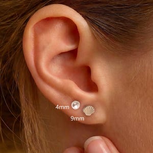 18G/16G labret met inwendig schroefdraad, oorbel met platte achterkant, tragusknop, helixknop, kraakbeenknop, neuspiercingknop, schildpad