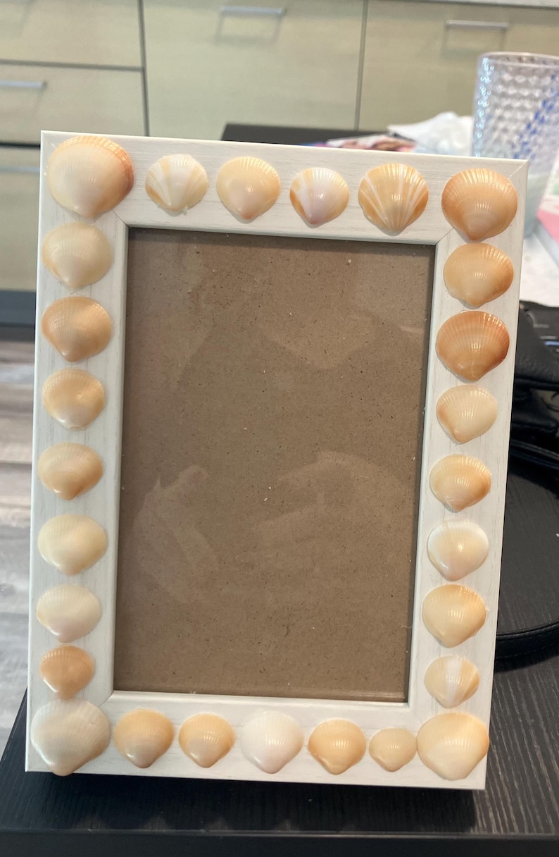 K&ouml;nnte beinhalten: Ein wei&szlig;er Bilderrahmen mit einem braunen Passepartout und einem Rand aus Muscheln. Die Muscheln sind hellbraun und symmetrisch um den Rahmen angeordnet.