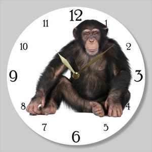 May include: A white clock face with black numbers 1 through 12. A chimpanzee sits in the center of the clock face with its arms resting on its legs. The clock hands are gold.