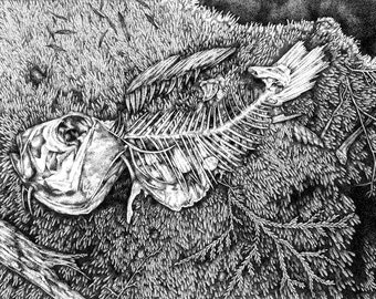 Fish Skeleton Drawing, Framed Stipple Ink Drawing, Framed Original Art, Fish Bones Original Art, Framed Fish Black and White Ink Drawing