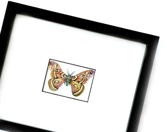 Moth Art Original Drawing, Framed Moth Ink and Watercolor Drawing, Framed Cecropia Moth Art, Original Watercolor Ink Drawing, Framed Art
