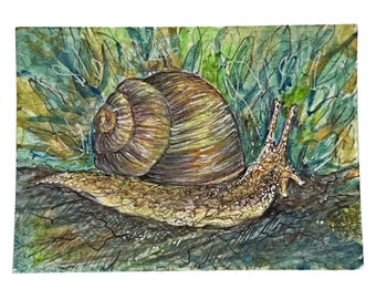 Original Snail Watercolor Ink Sketch, ACEO Art, Organic Colors, Heavy Art Paper (2.5x3.5 inches)