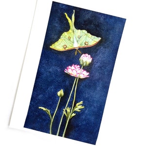 Stampa artistica Luna Dreams, stampa artistica Luna Moth, stampa Luna Moth da acquerello, arte Luna Moth senza cornice, arte Luna Moth e fiori