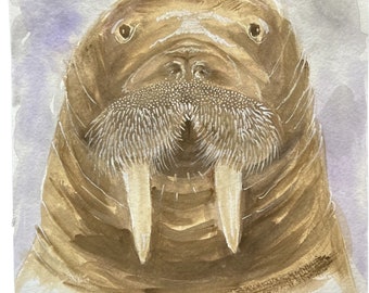 Original Walrus Head Watercolor Portrait, Marine Mammal Art (9x12)