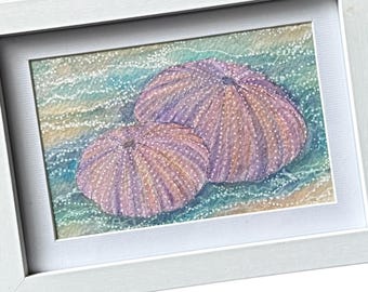 Framed Original Watercolor Sea Urchin Shells, Maine Ocean Beach Nautical Sealife Art
