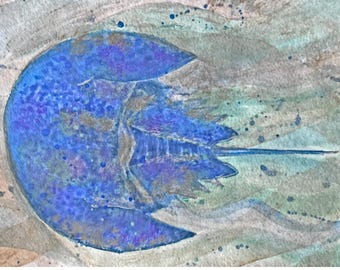 Watercolor Horseshoe Crab Painting, Original Horseshoe Crab Art