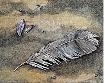 Framed Beach Feather Art, Stipple Ink & Watercolor Original Drawing