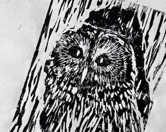 Barred Owl Linocut Print, Original Black Ink Blockprint