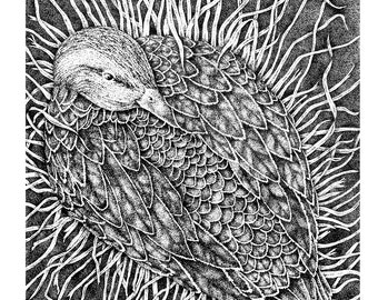 Framed Duck on Nest Stipple Ink Drawing, Female Mallard Duck Original Art