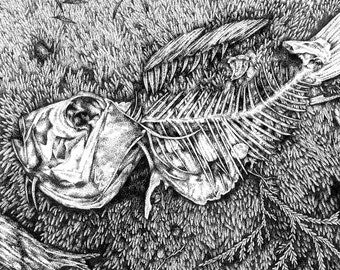Framed Fish Skeleton Ink Drawing, Stipple Art, Original Artwork