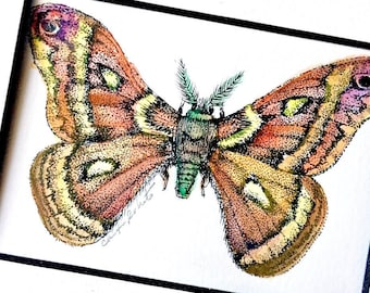 Framed Moth Art Drawing, Original Watercolor & Ink Art
