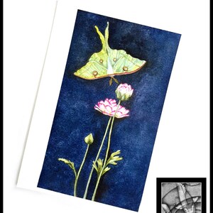 K&ouml;nnte beinhalten: Ein Aquarellbild eines gr&uuml;nen Luna-Falters mit braunen Augen, der &uuml;ber drei rosa Bl&uuml;ten mit gr&uuml;nen Stielen auf einem dunkelblauen Hintergrund schwebt.