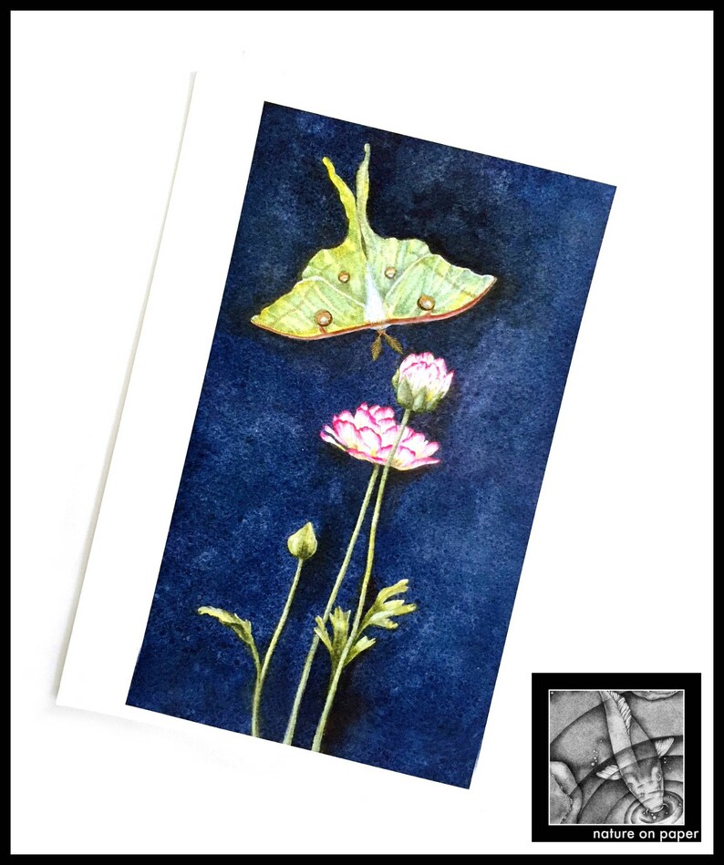 K&ouml;nnte beinhalten: Ein Aquarellbild eines gr&uuml;nen Luna-Falters mit braunen Augen, der &uuml;ber drei rosa Bl&uuml;ten mit gr&uuml;nen Stielen auf einem dunkelblauen Hintergrund schwebt.