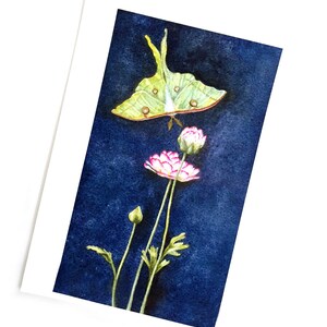 K&ouml;nnte beinhalten: Ein Aquarellbild eines gr&uuml;nen Luna-Falters mit wei&szlig;en Markierungen, der &uuml;ber drei rosa Bl&uuml;ten mit gr&uuml;nen Stielen auf einem dunkelblauen Hintergrund fliegt.