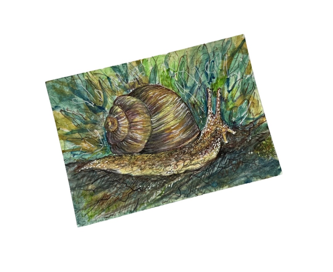 Snail Ink Original Snail Watercolor Ink Sketch, ACEO Art, Organic Colors, Heavy ...