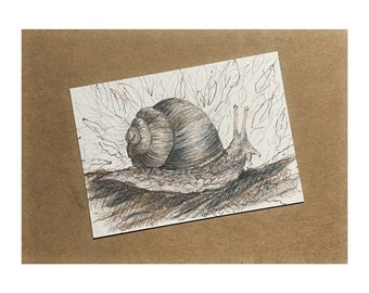 Snail ORIGINAL Colored Pencil and Ink Sketch, ORGINAL ACEO Art, Mini Sketch of Snail, Original Artwork, Small Original Snail Art Drawing