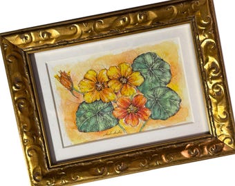 Framed Nasturtium Watercolor and Ink Drawing, Original Floral Art