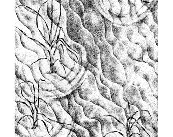 Framed Beach Grass Stipple Ink Drawing, Original Dune Grass Art