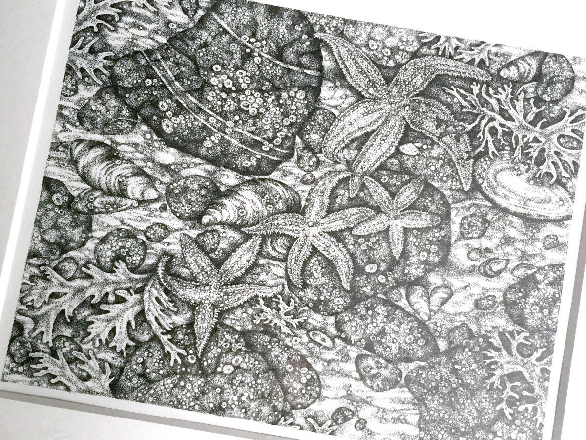 Tidal Pool Drawing, Framed Stipple Ink Drawing, Framed Original Art ...