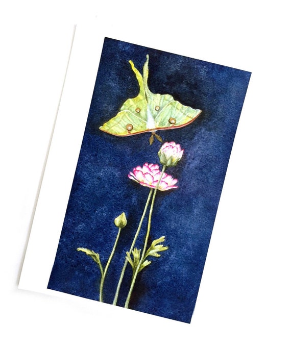 Luna Dreams Art Print, Luna Moth Art Print, Luna Moth Print from Watercolor Painting, Unframed Luna Moth Art, Luna Moth and Flower Art