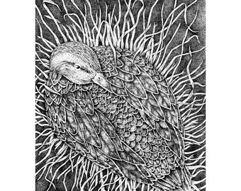 Duck on Nest Drawing, Framed Stipple Ink Original Drawing, Mother Duck On Nest Original Art, Framed Nesting Duck Black and White Ink Drawing