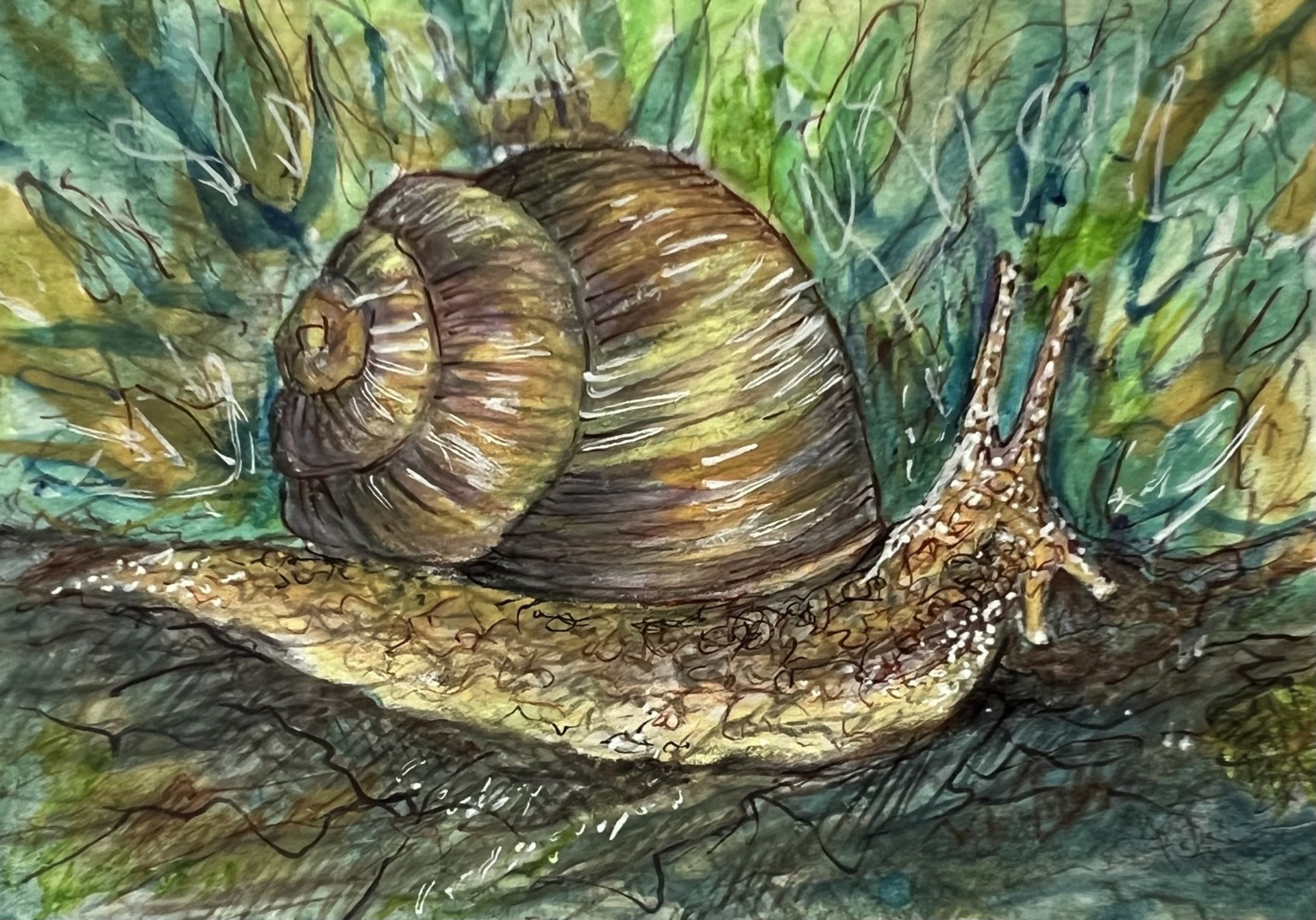 Snail Ink Original Snail Watercolor Ink Sketch, ACEO Art, Organic Colors, Heavy ...