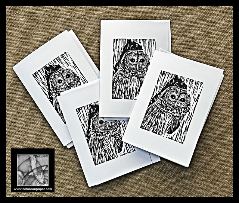 Set of Owl Note Cards, Blank Card Set, Owl Block Print Art Note Cards, Barred Owl Blank Card Set of FOUR, Art from Original Block Prints image 4