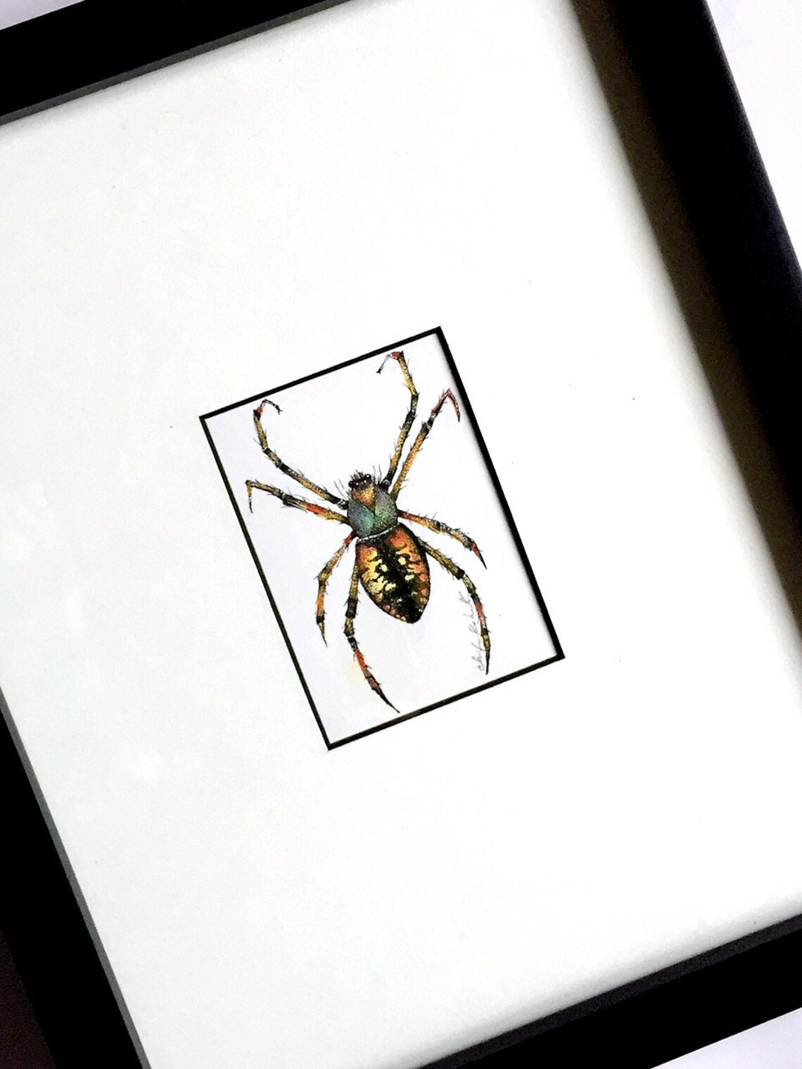 Spider Original Drawing, Framed Ink and Watercolor Drawing, Framed ...