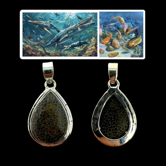 Cambrian Coral Fossil Pendant: Ancient Ocean Stone, Paleontologist Gift (COA Included)