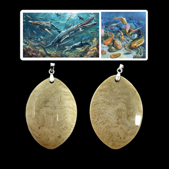 Cambrian Coral Fossil Pendant: Ancient Ocean Stone Necklace (COA Included)