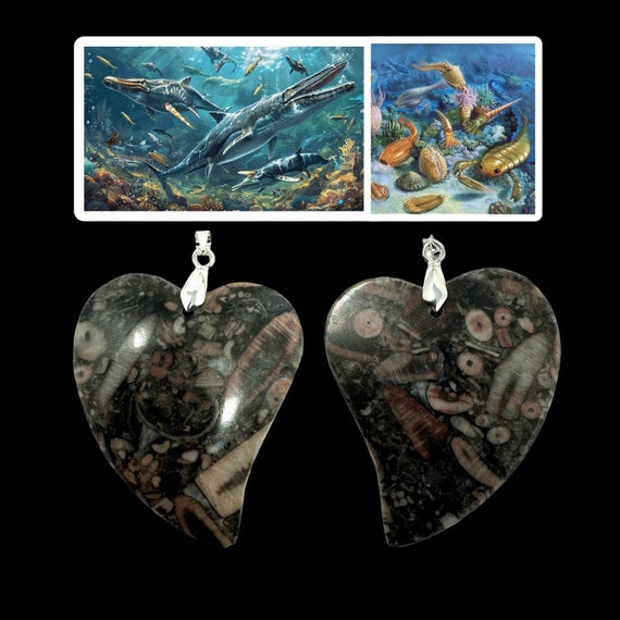 Cambrian Fossil Coral Heart Pendant: Ancient Ocean Stone Necklace (COA Included)