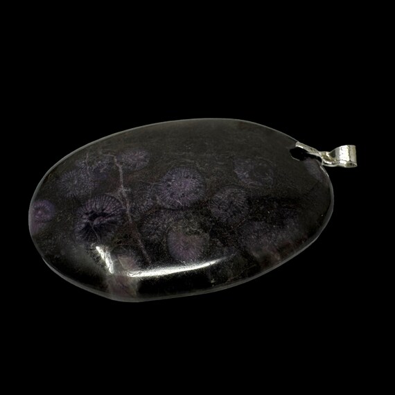 Rare Cambrian Purple Coral Fossil Pendant: Paleontologist Gift (COA) View 3