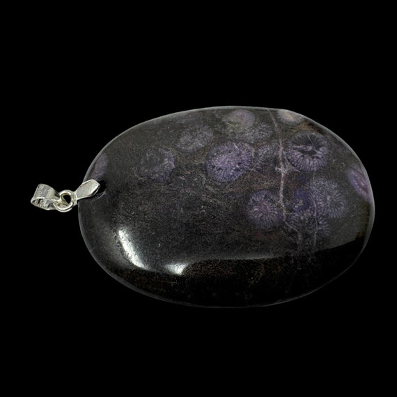 Rare Cambrian Purple Coral Fossil Pendant: Paleontologist Gift (COA) View 6