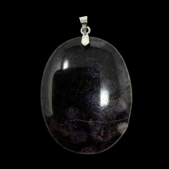 Rare Cambrian Purple Coral Fossil Pendant: Paleontologist Gift (COA) View 2