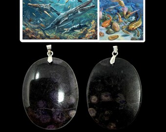 RARE Original Prehistoric Dinosaur Fossilized Ancient Ocean Seafloor Fossil Pendant Paleontologist Gift Limited Edition (COA Included)