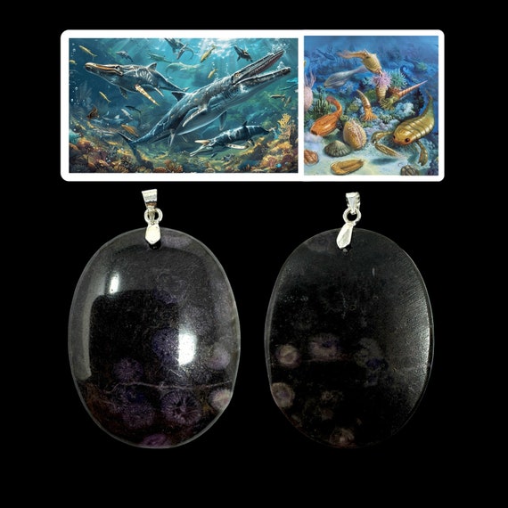 Rare Cambrian Purple Coral Fossil Pendant: Paleontologist Gift (COA)